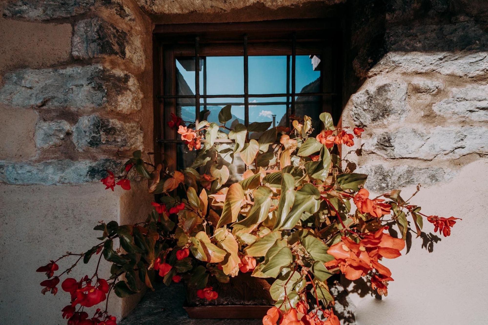 Au Coeur Du Village Chambres D'Hotes & Spa Arnad Kültér fotó